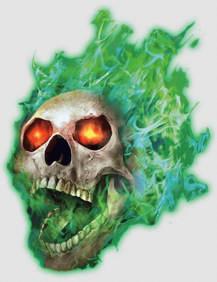 flameskull Picture of a Flameskull