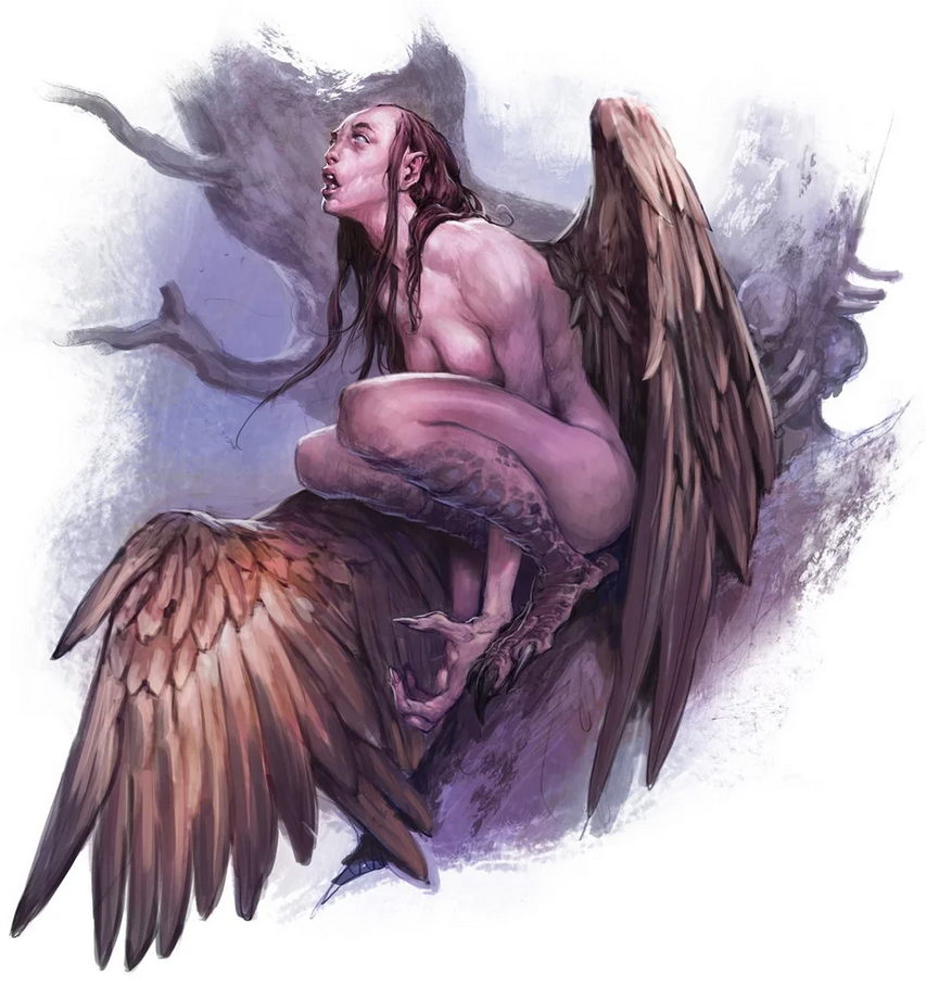 harpy Picture of a Harpy