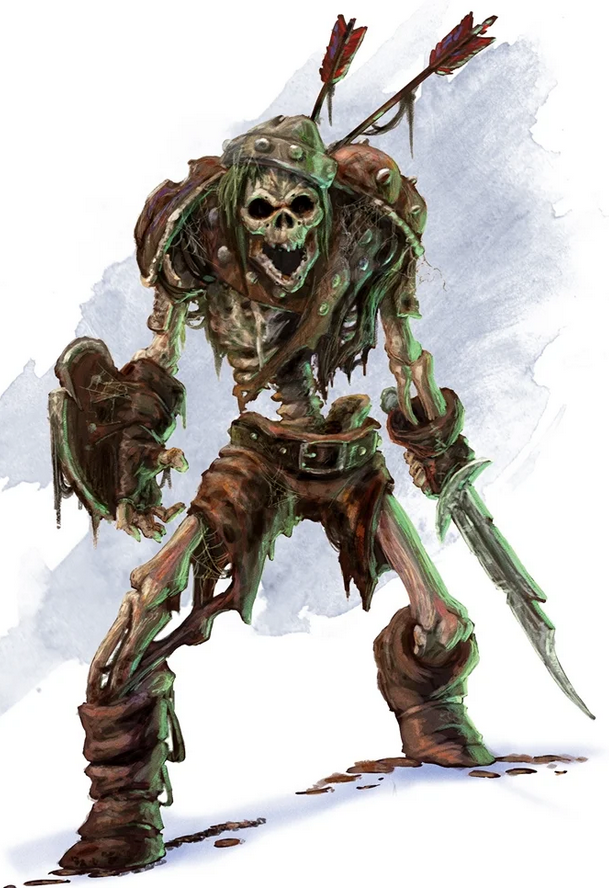 skeleton Picture of a Skeleton