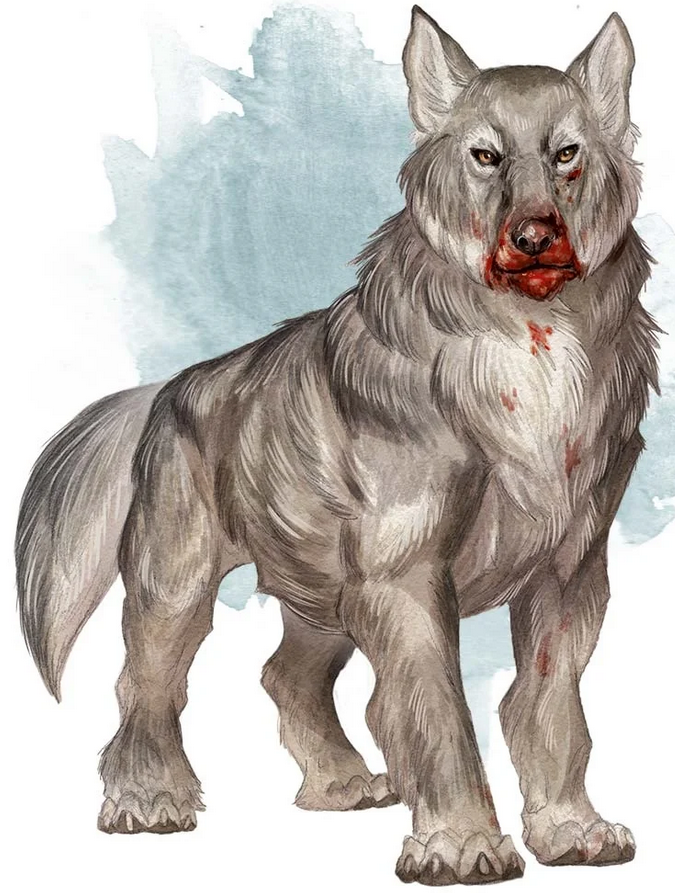 wolf Picture of a Wolf